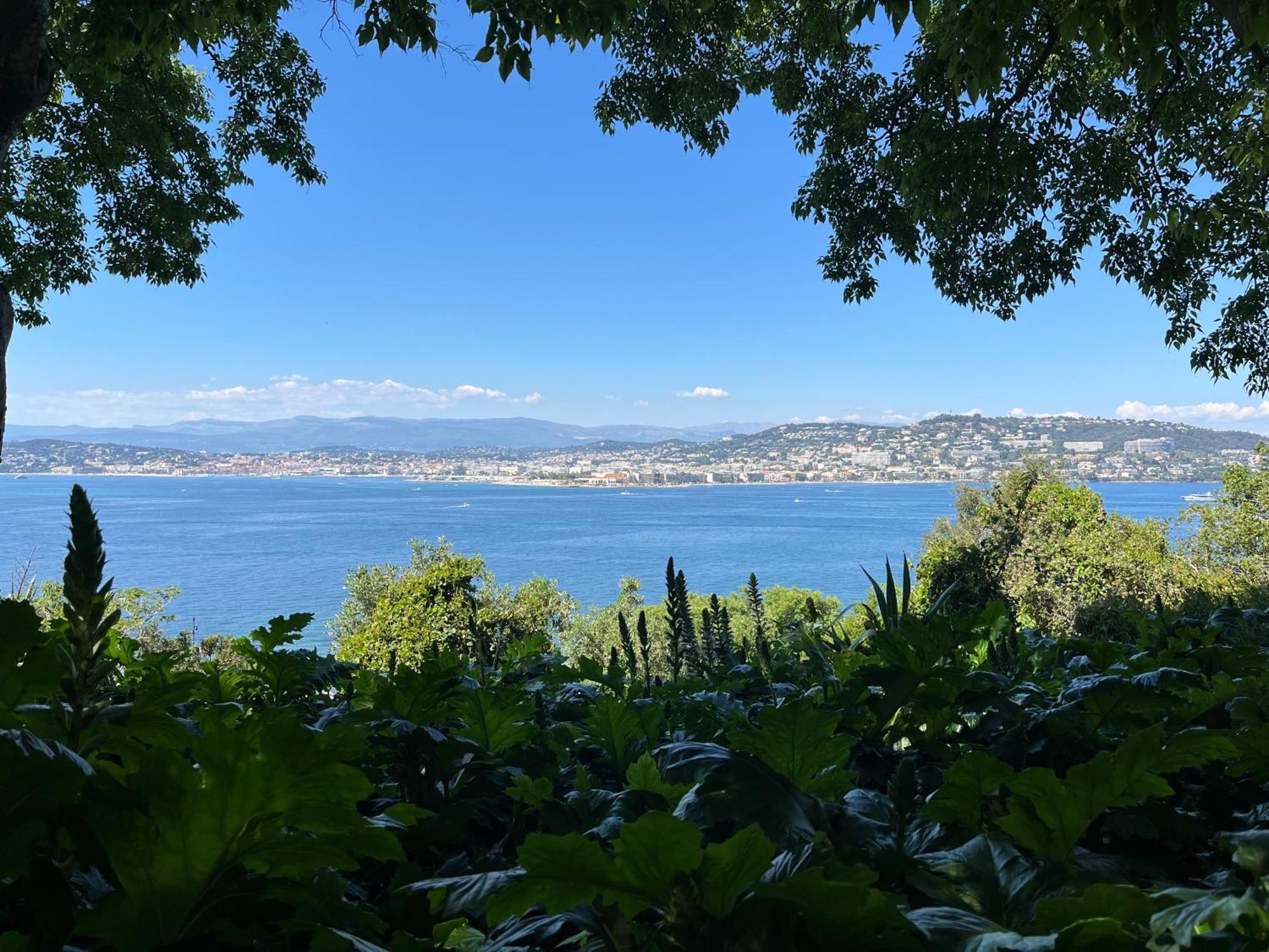 Les Genets Villa Fayence Eksteriør bilde